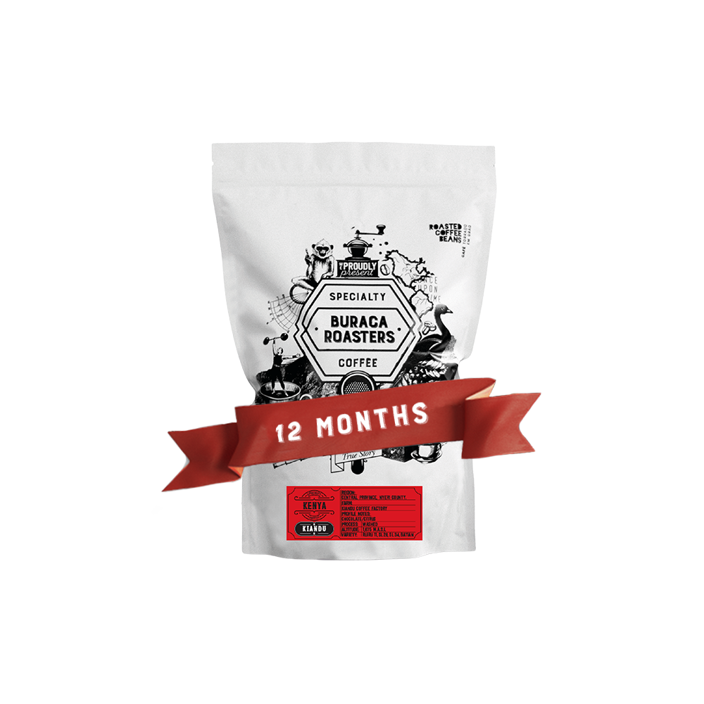 12 Months Subscription