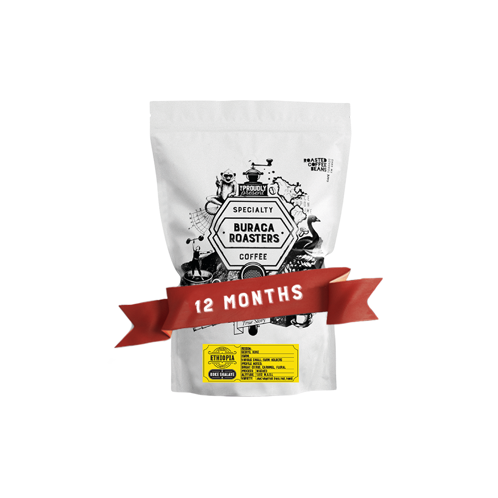 12 Months Subscription