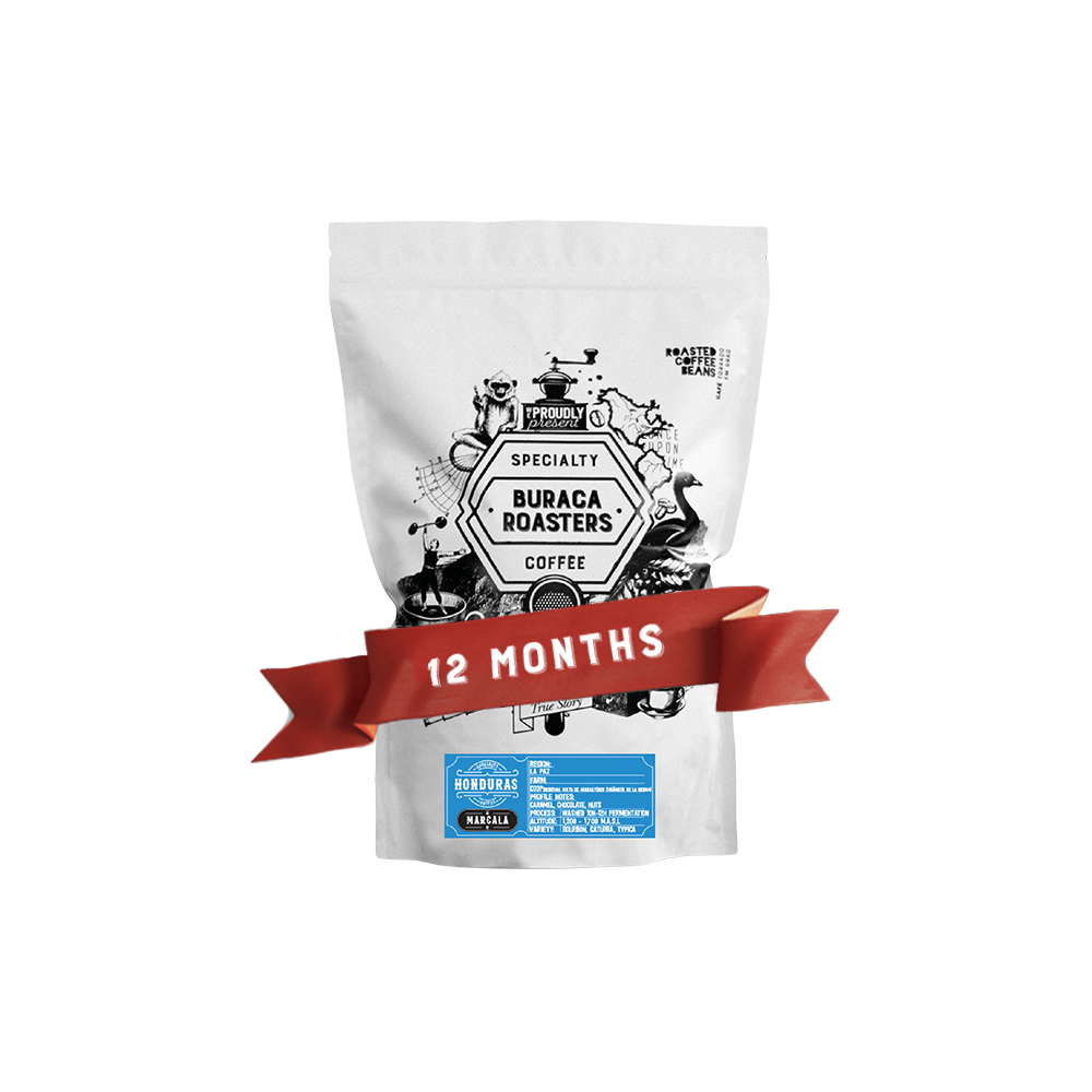 12 Months Subscription