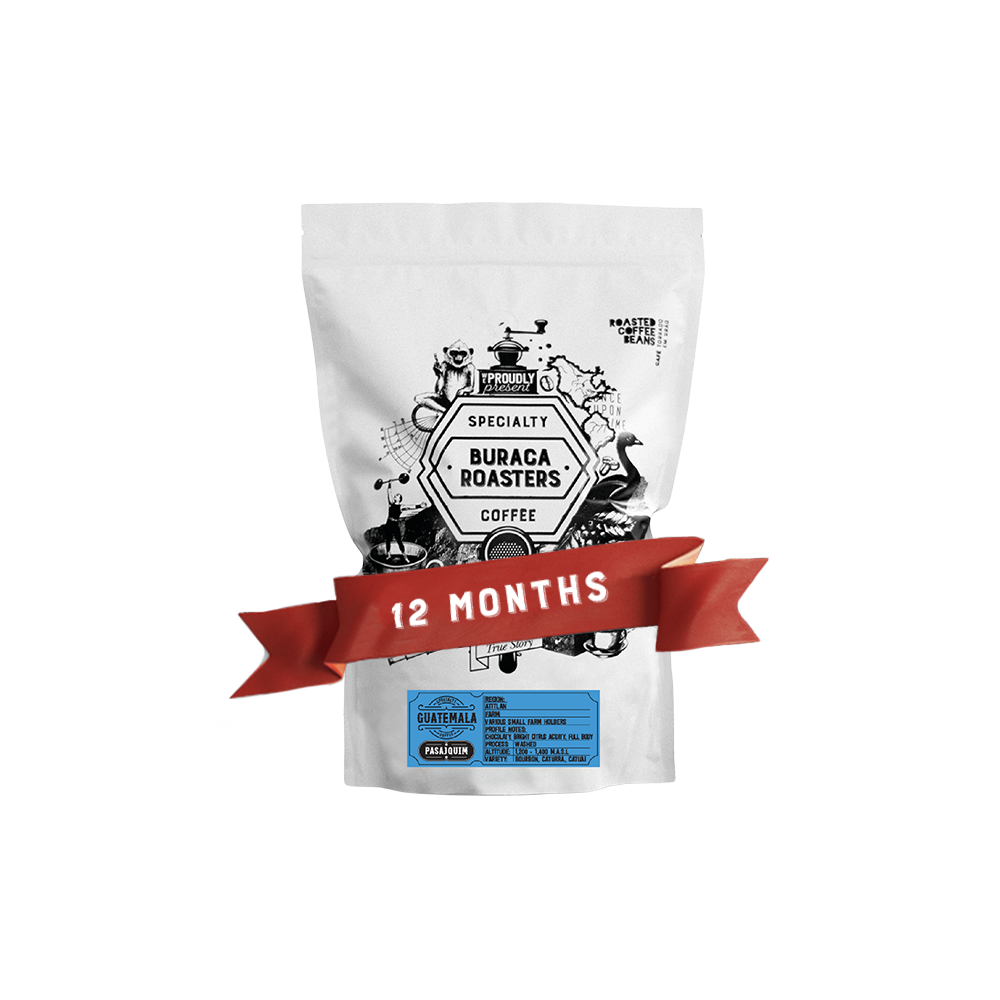 12 Months Subscription