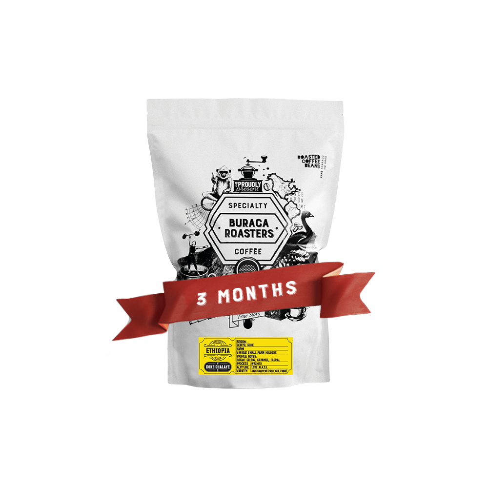 3 Months Subscription