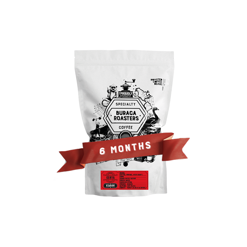 6 Months Subscription