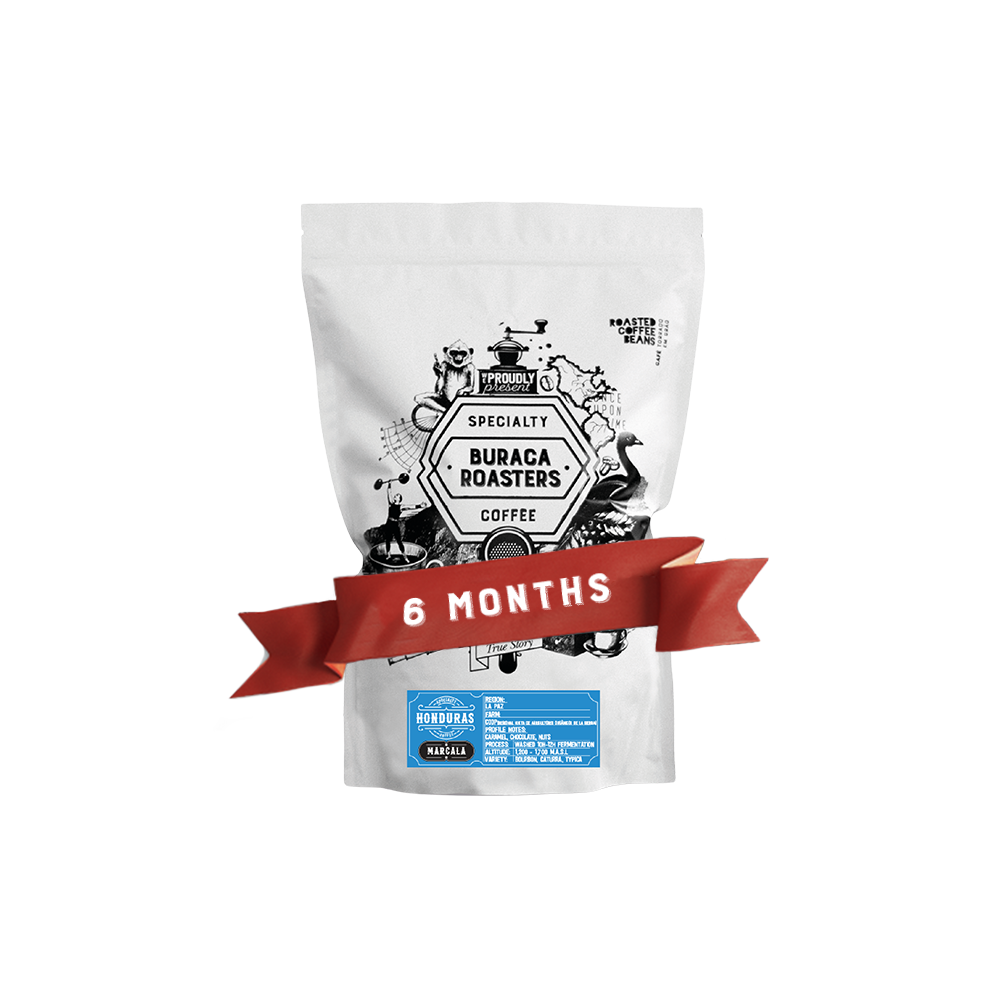 6 Months Subscription