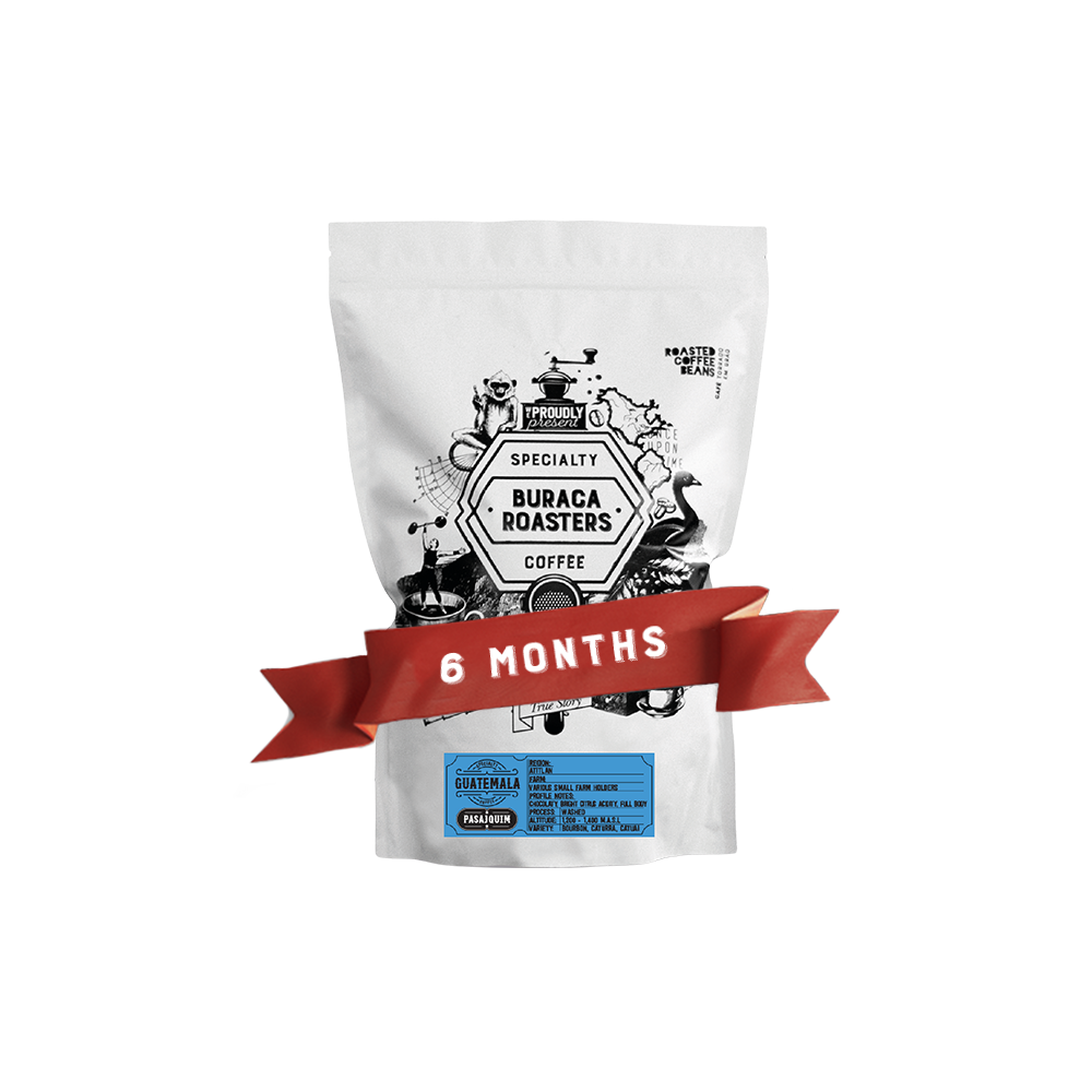 6 Months Subscription