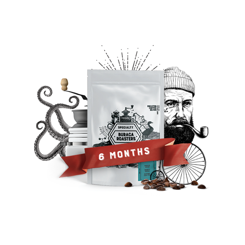 6 Months Subscription