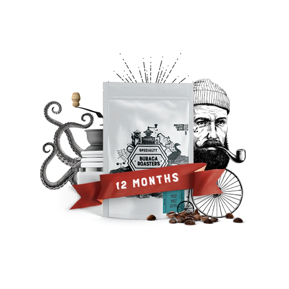 12 Months Subscription